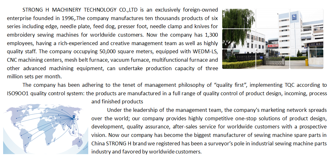 Strongh şirket tanıtımı